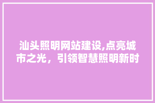 汕头照明网站建设,点亮城市之光，引领智慧照明新时代