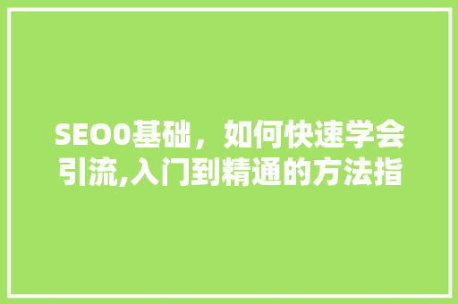 SEO0基础，如何快速学会引流,入门到精通的方法指南