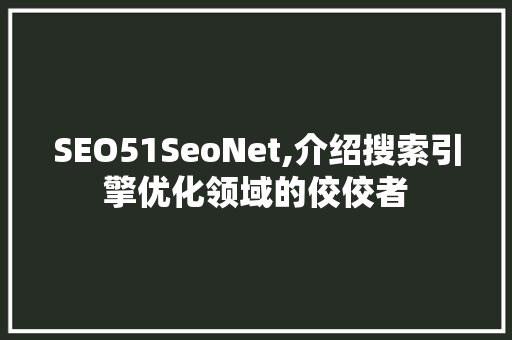 SEO51SeoNet,介绍搜索引擎优化领域的佼佼者