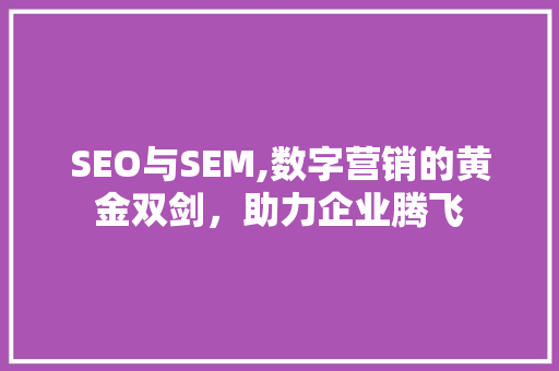 SEO与SEM,数字营销的黄金双剑，助力企业腾飞