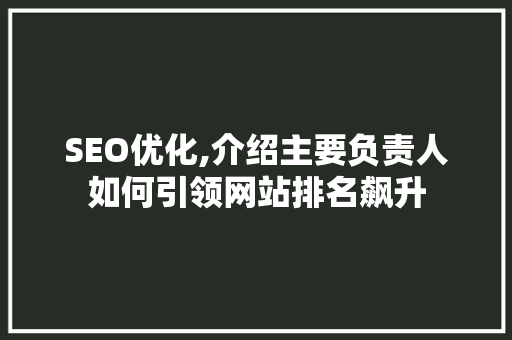 SEO优化,介绍主要负责人如何引领网站排名飙升