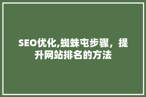 SEO优化,蜘蛛屯步骤，提升网站排名的方法