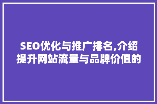 SEO优化与推广排名,介绍提升网站流量与品牌价值的秘密武器