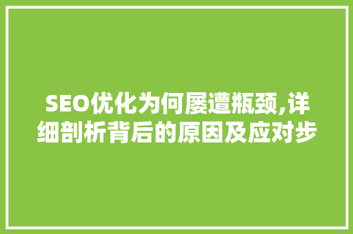 SEO优化为何屡遭瓶颈,详细剖析背后的原因及应对步骤