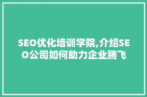 SEO优化培训学院,介绍SEO公司如何助力企业腾飞