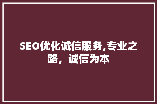 SEO优化诚信服务,专业之路，诚信为本