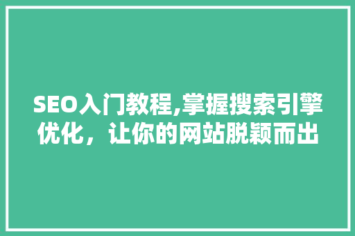 SEO入门教程,掌握搜索引擎优化，让你的网站脱颖而出
