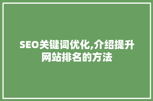 SEO关键词优化,介绍提升网站排名的方法