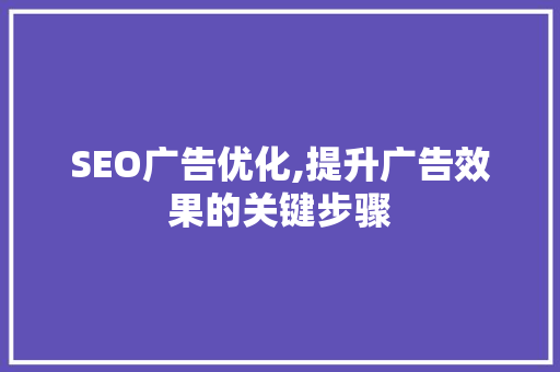 SEO广告优化,提升广告效果的关键步骤