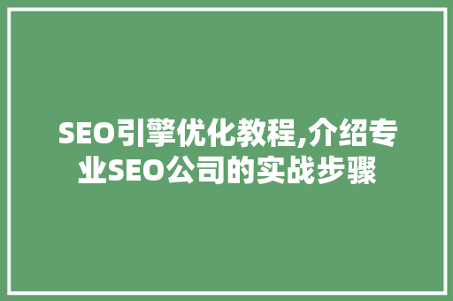 SEO引擎优化教程,介绍专业SEO公司的实战步骤
