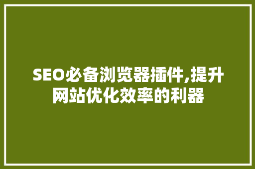 SEO必备浏览器插件,提升网站优化效率的利器