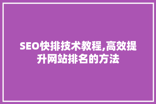 SEO快排技术教程,高效提升网站排名的方法
