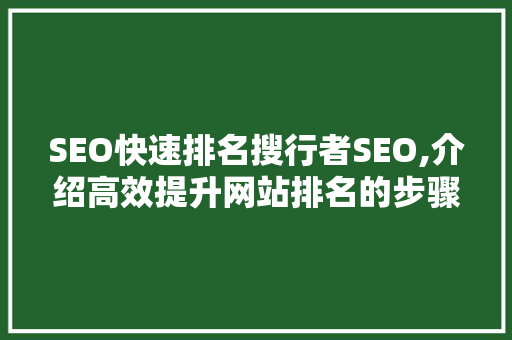 SEO快速排名搜行者SEO,介绍高效提升网站排名的步骤