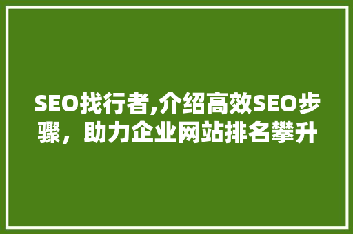 SEO找行者,介绍高效SEO步骤，助力企业网站排名攀升