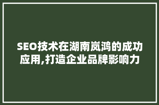 SEO技术在湖南岚鸿的成功应用,打造企业品牌影响力新路径