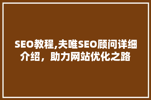 SEO教程,夫唯SEO顾问详细介绍，助力网站优化之路