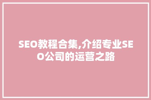 SEO教程合集,介绍专业SEO公司的运营之路