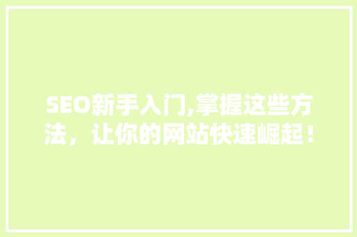 SEO新手入门,掌握这些方法，让你的网站快速崛起！