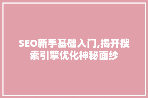 SEO新手基础入门,揭开搜索引擎优化神秘面纱