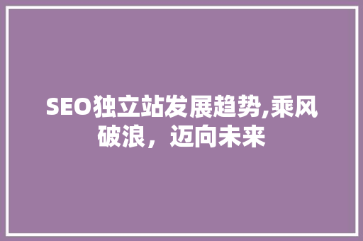 SEO独立站发展趋势,乘风破浪，迈向未来