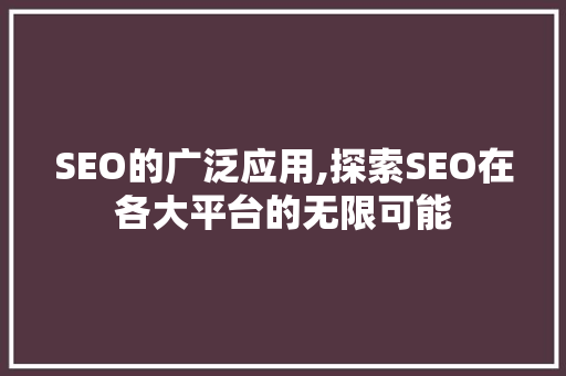 SEO的广泛应用,探索SEO在各大平台的无限可能