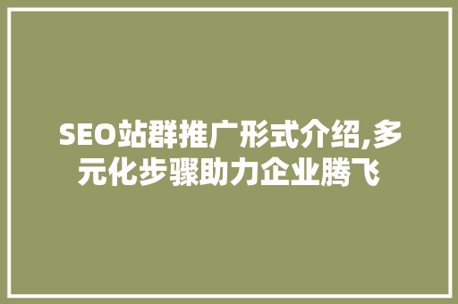 SEO站群推广形式介绍,多元化步骤助力企业腾飞