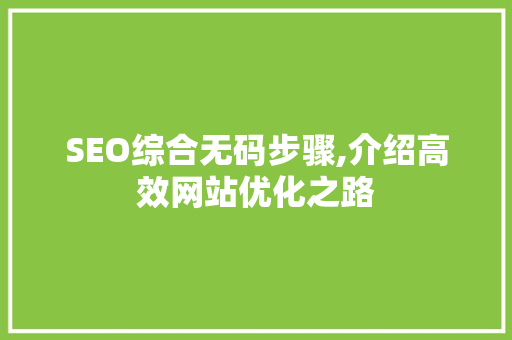SEO综合无码步骤,介绍高效网站优化之路
