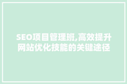 SEO项目管理班,高效提升网站优化技能的关键途径