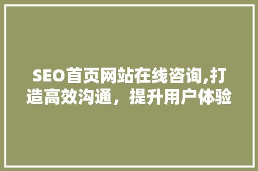 SEO首页网站在线咨询,打造高效沟通，提升用户体验