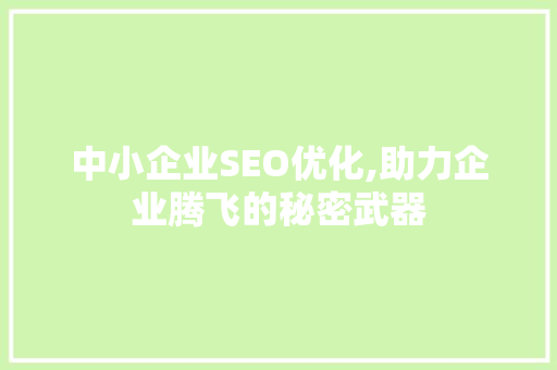 中小企业SEO优化,助力企业腾飞的秘密武器
