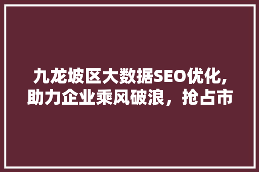 九龙坡区大数据SEO优化,助力企业乘风破浪，抢占市场先机
