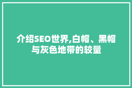 介绍SEO世界,白帽、黑帽与灰色地带的较量