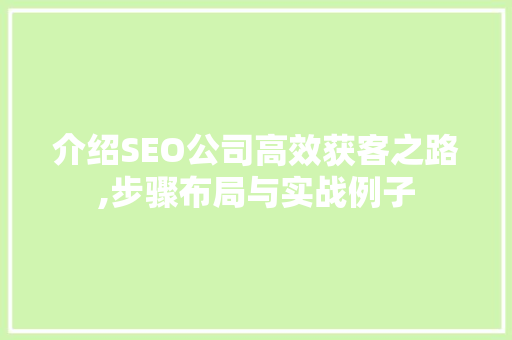 介绍SEO公司高效获客之路,步骤布局与实战例子