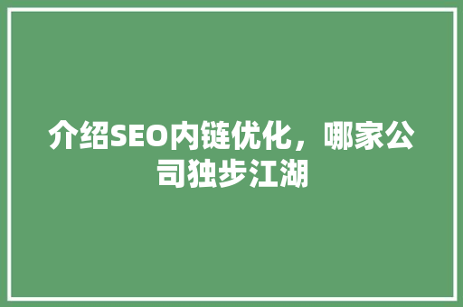 介绍SEO内链优化，哪家公司独步江湖