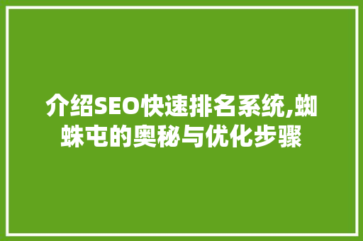 介绍SEO快速排名系统,蜘蛛屯的奥秘与优化步骤