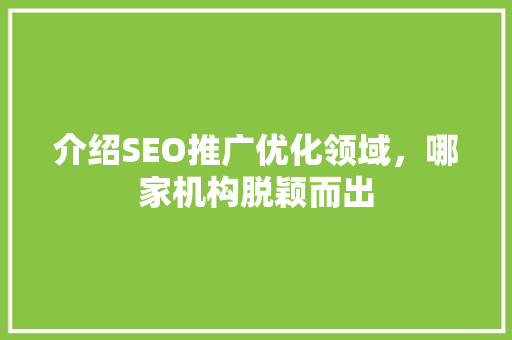 介绍SEO推广优化领域，哪家机构脱颖而出