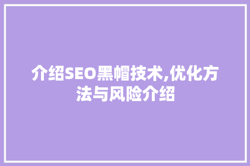 介绍SEO黑帽技术,优化方法与风险介绍