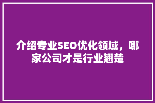 介绍专业SEO优化领域，哪家公司才是行业翘楚