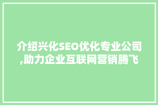 介绍兴化SEO优化专业公司,助力企业互联网营销腾飞