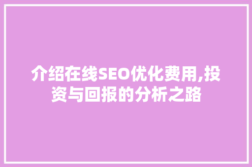 介绍在线SEO优化费用,投资与回报的分析之路