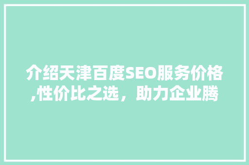 介绍天津百度SEO服务价格,性价比之选，助力企业腾飞
