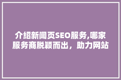 介绍新闻页SEO服务,哪家服务商脱颖而出，助力网站排名腾飞