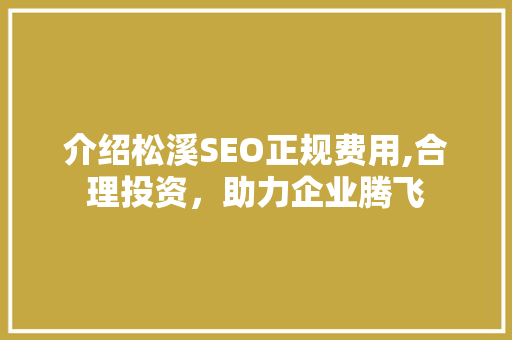 介绍松溪SEO正规费用,合理投资，助力企业腾飞