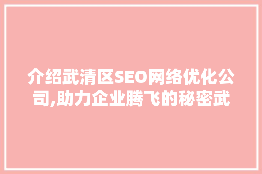 介绍武清区SEO网络优化公司,助力企业腾飞的秘密武器