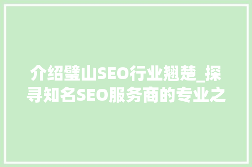 介绍璧山SEO行业翘楚_探寻知名SEO服务商的专业之路