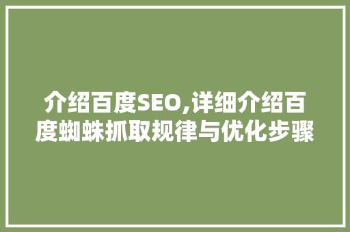 介绍百度SEO,详细介绍百度蜘蛛抓取规律与优化步骤