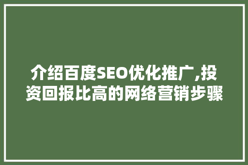 介绍百度SEO优化推广,投资回报比高的网络营销步骤