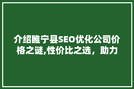 介绍睢宁县SEO优化公司价格之谜,性价比之选，助力企业腾飞