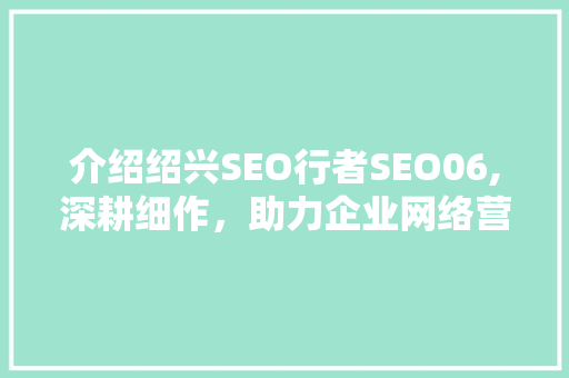 介绍绍兴SEO行者SEO06,深耕细作，助力企业网络营销新高度