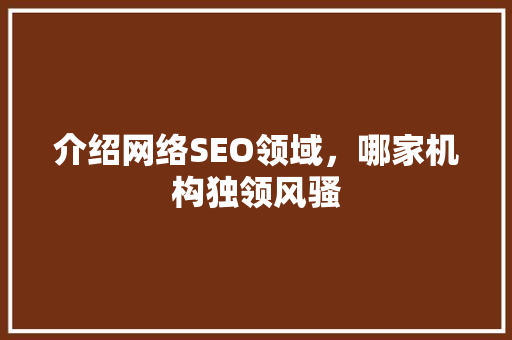 介绍网络SEO领域，哪家机构独领风骚